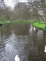 Keukenhof